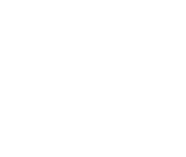 Логотип клиента 13